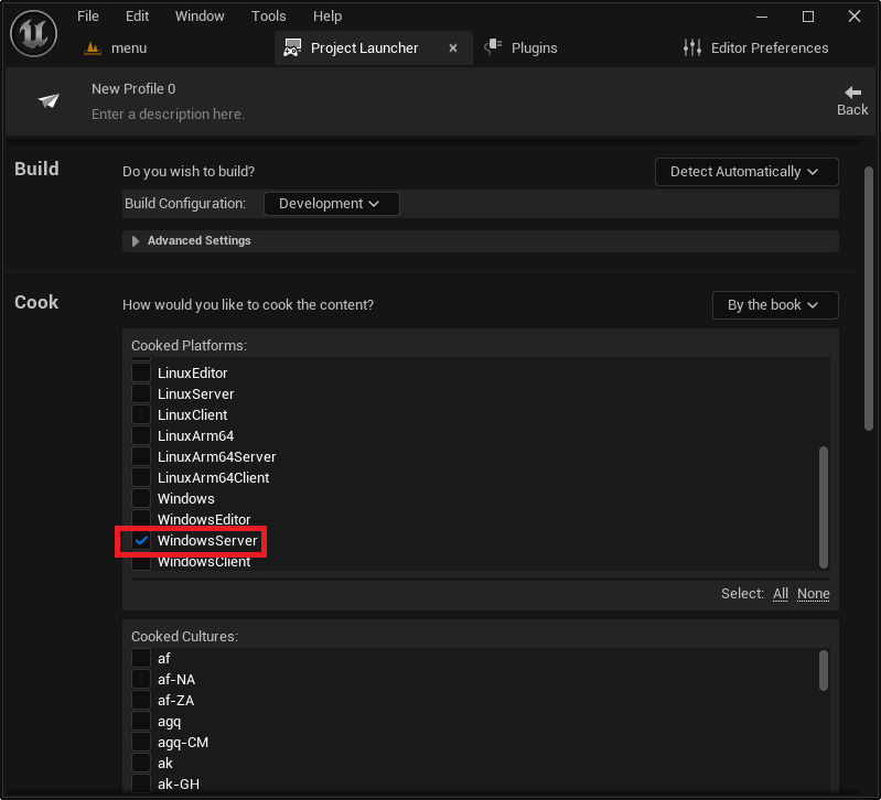 Enabling the WindowServer cook option